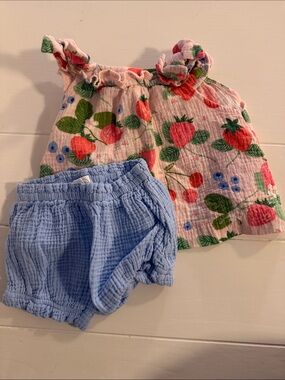 Mud Pie Pink Strawberry & Blue Shorts Matching Set